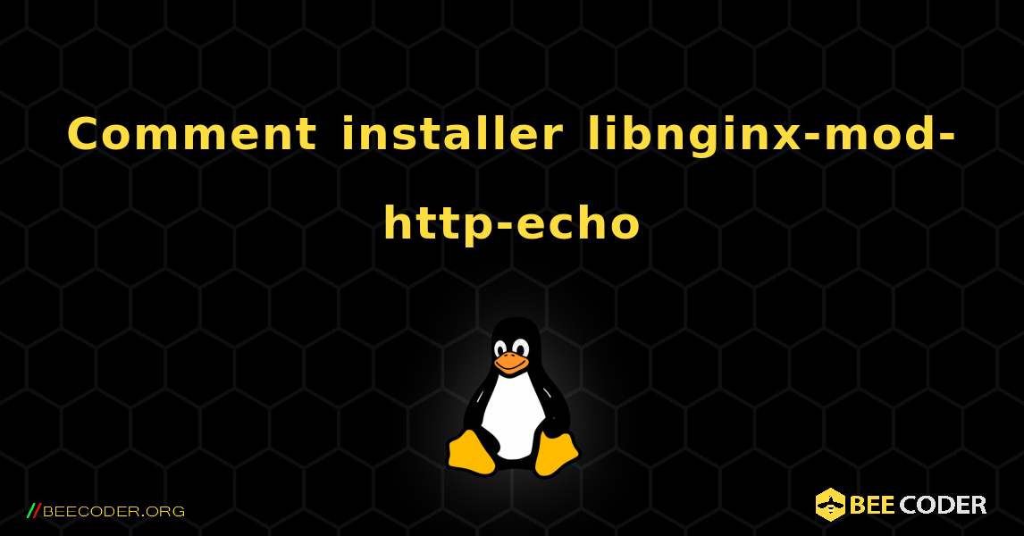 Comment installer libnginx-mod-http-echo . Linux