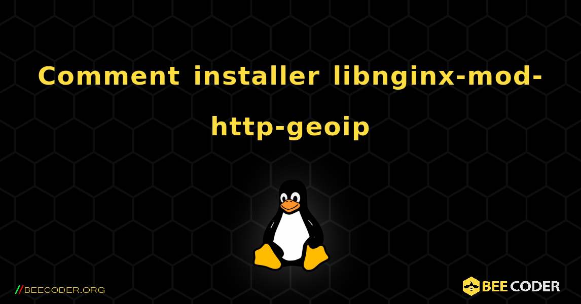 Comment installer libnginx-mod-http-geoip . Linux