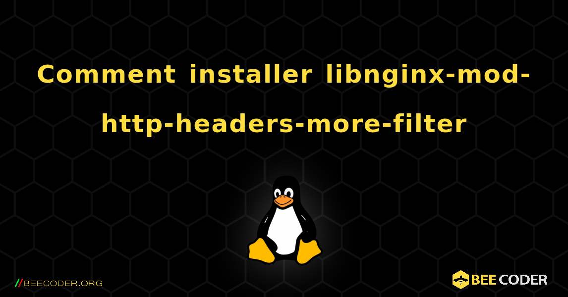 Comment installer libnginx-mod-http-headers-more-filter . Linux