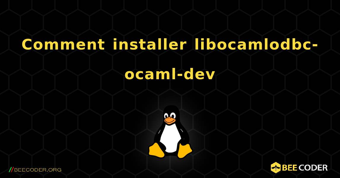 Comment installer libocamlodbc-ocaml-dev . Linux