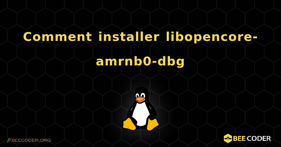 Comment installer libopencore-amrnb0-dbg . Linux