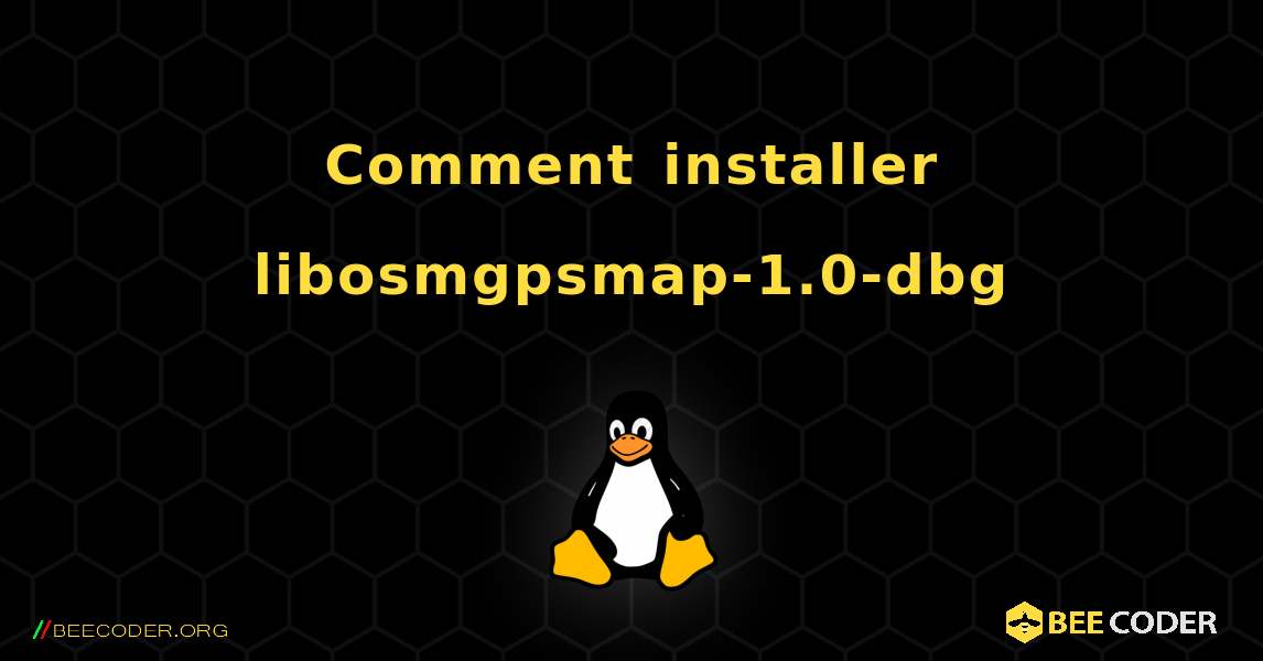 Comment installer libosmgpsmap-1.0-dbg . Linux