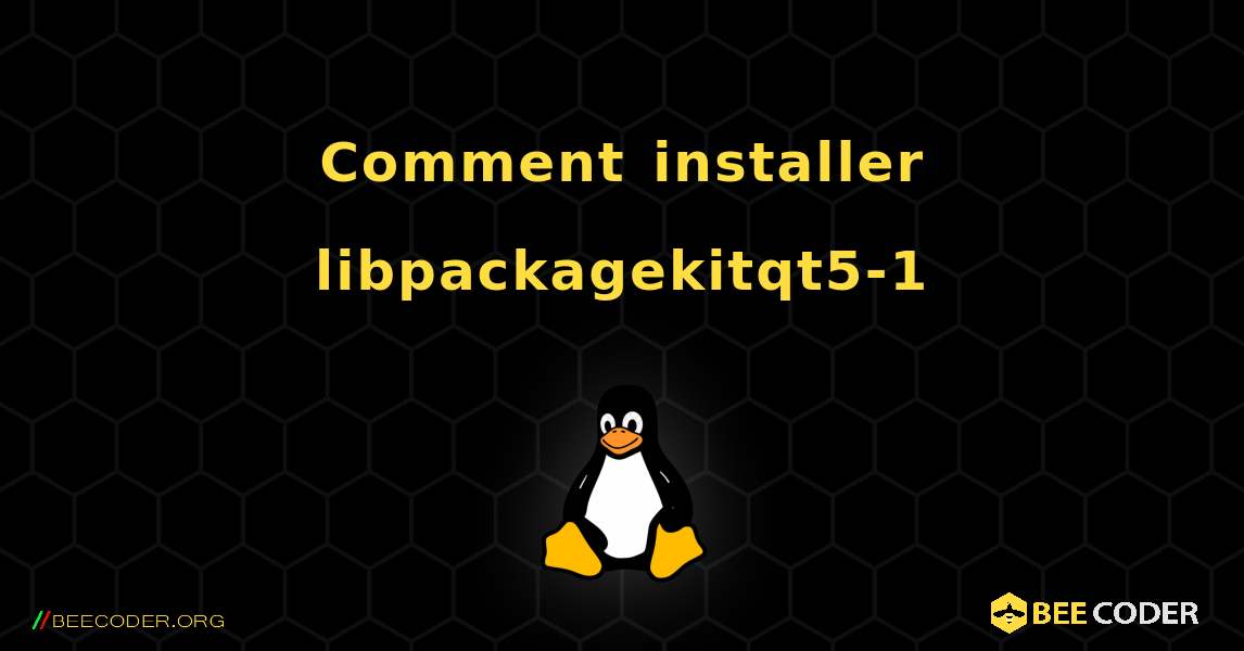 Comment installer libpackagekitqt5-1 . Linux