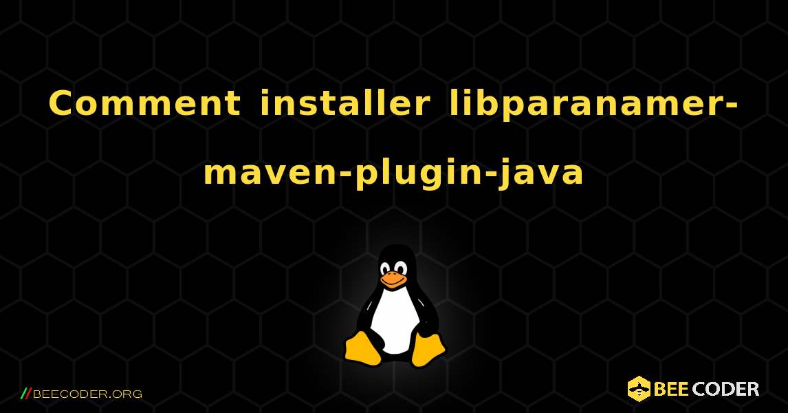 Comment installer libparanamer-maven-plugin-java . Linux