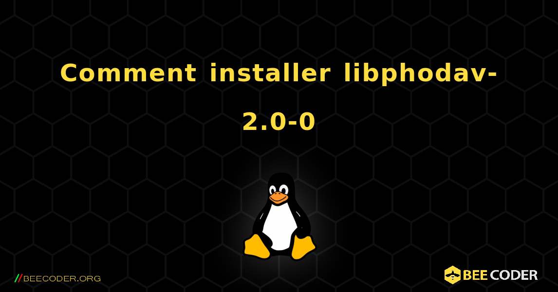 Comment installer libphodav-2.0-0 . Linux