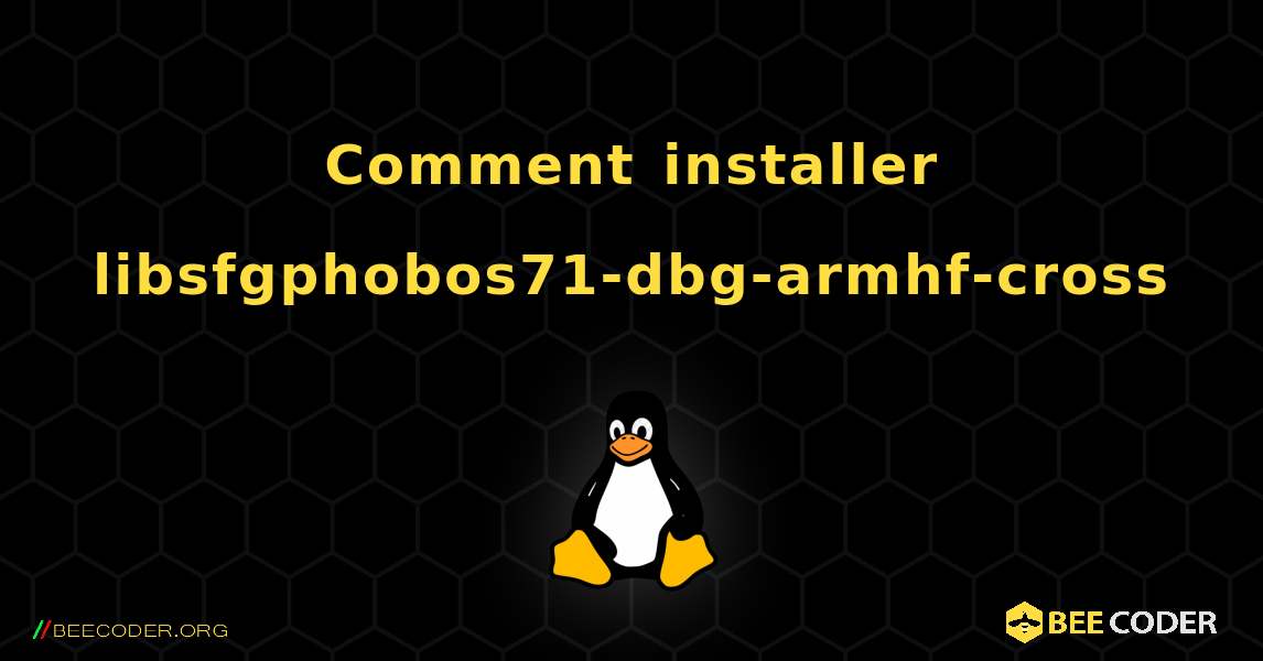 Comment installer libsfgphobos71-dbg-armhf-cross . Linux