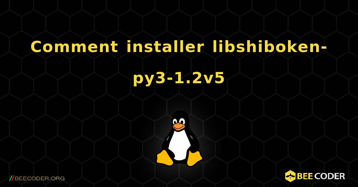 Comment installer libshiboken-py3-1.2v5 . Linux