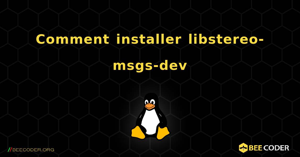 Comment installer libstereo-msgs-dev . Linux