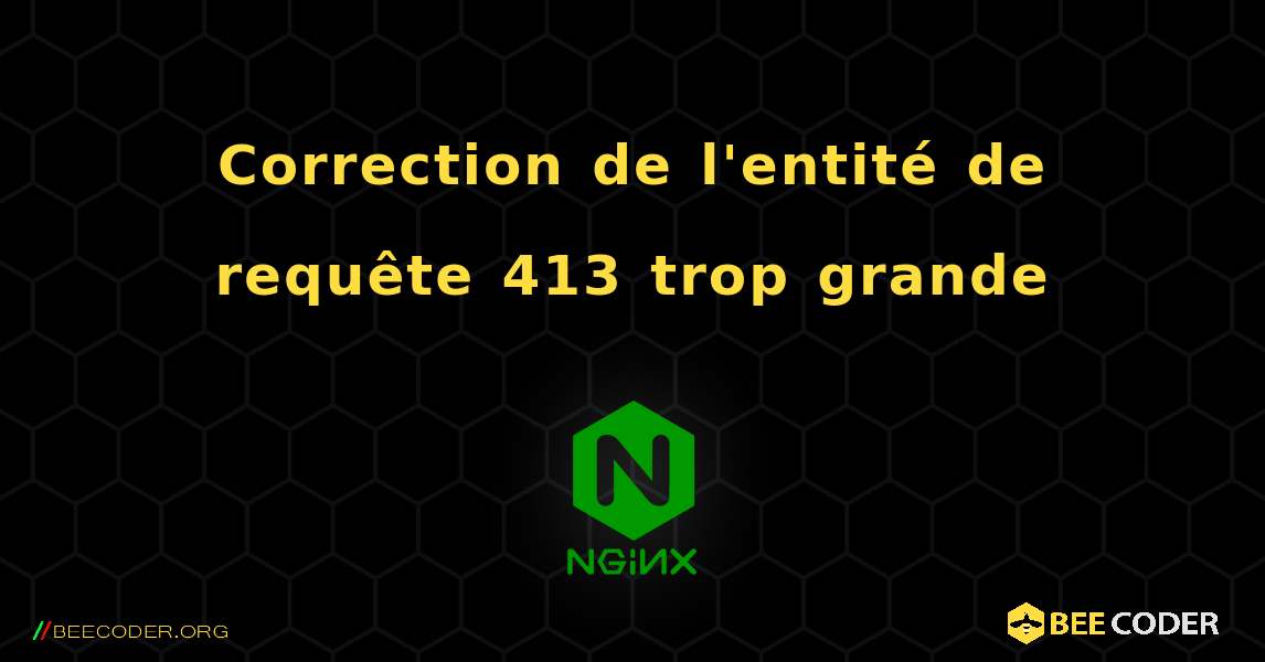 Correction de l'entité de requête 413 trop grande. NGINX