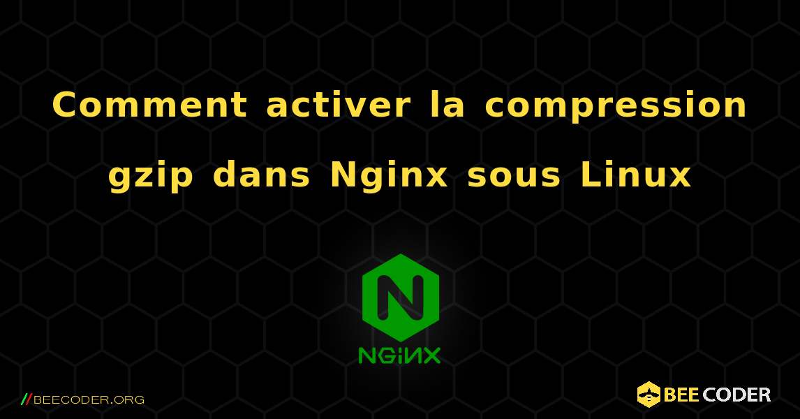 Comment activer la compression gzip dans Nginx sous Linux. NGINX