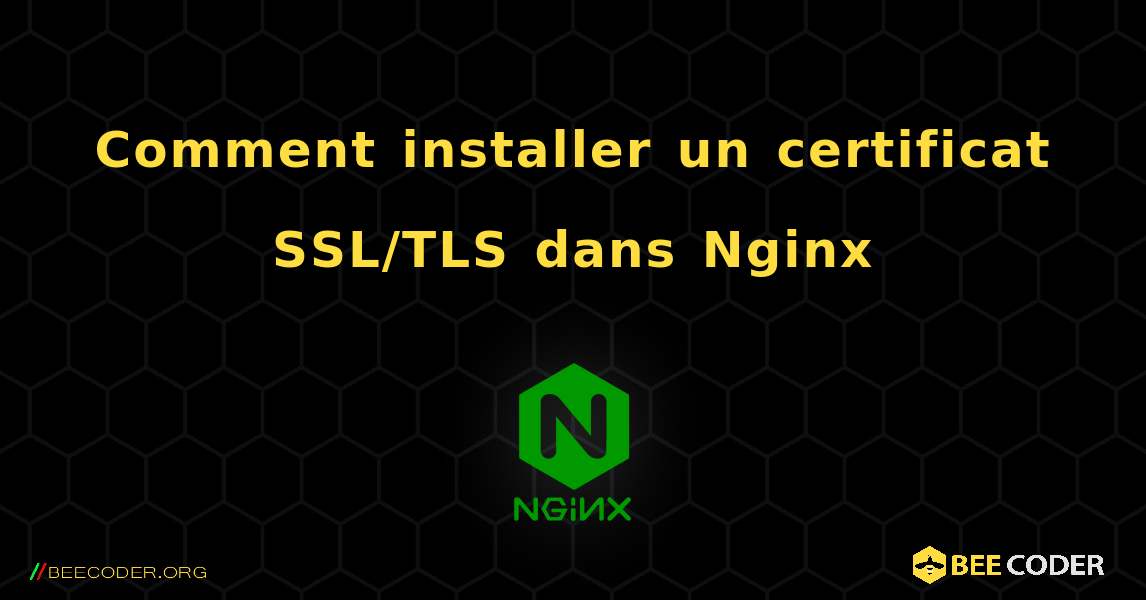 Comment installer un certificat SSL/TLS dans Nginx. NGINX