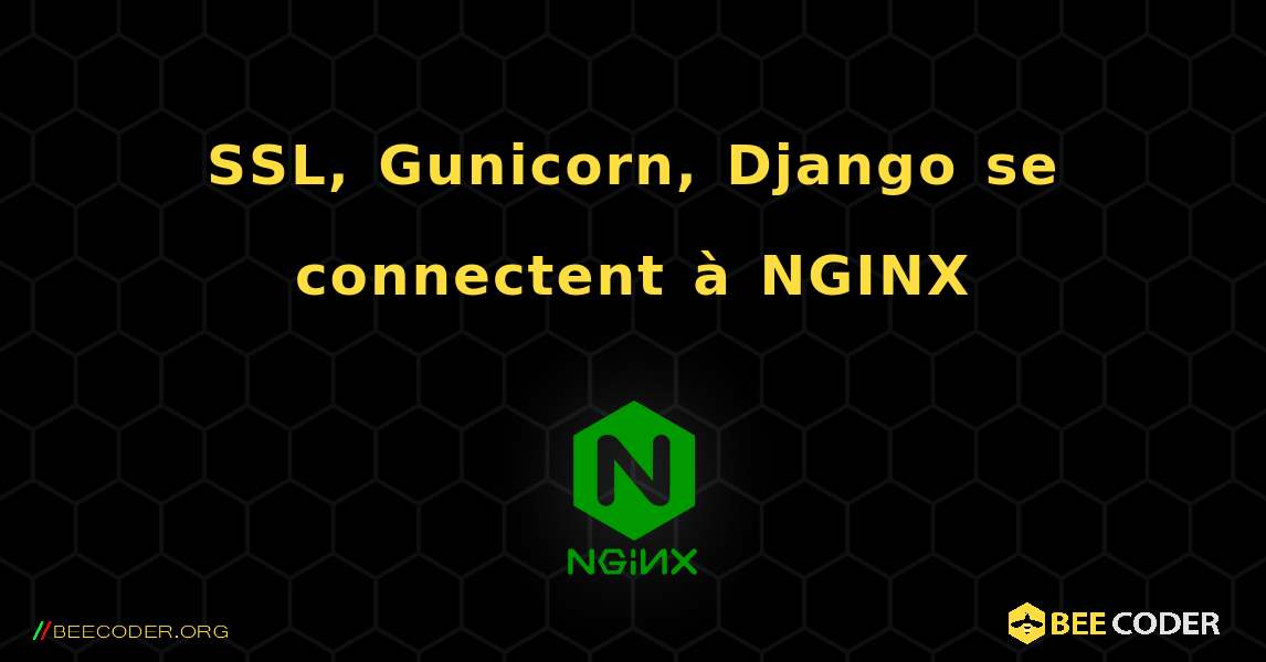 SSL, Gunicorn, Django se connectent à NGINX. NGINX