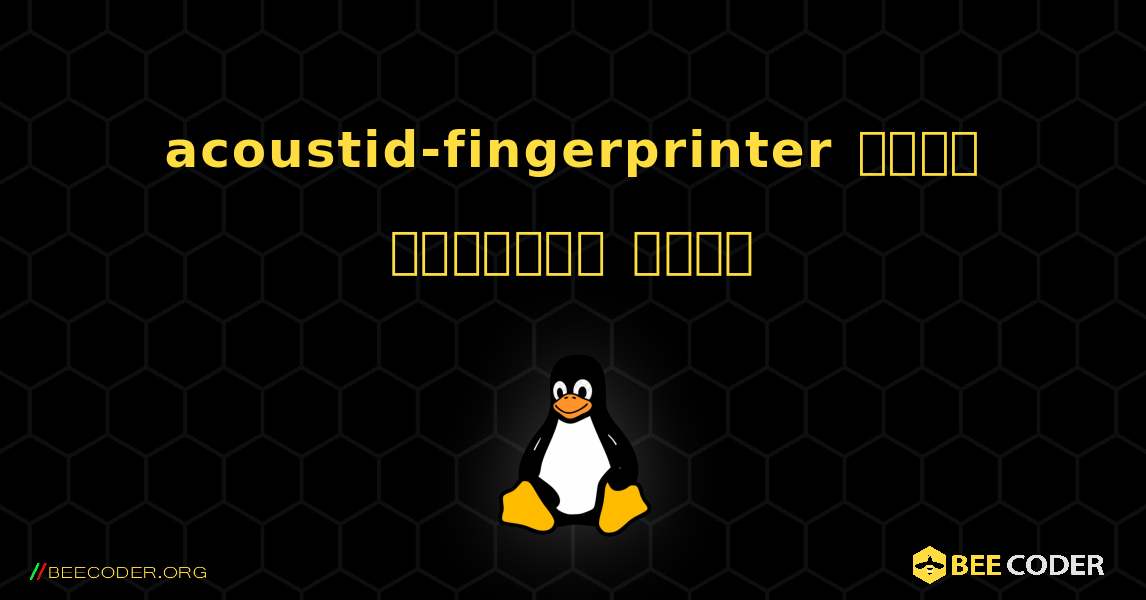 acoustid-fingerprinter  कैसे स्थापित करें. Linux