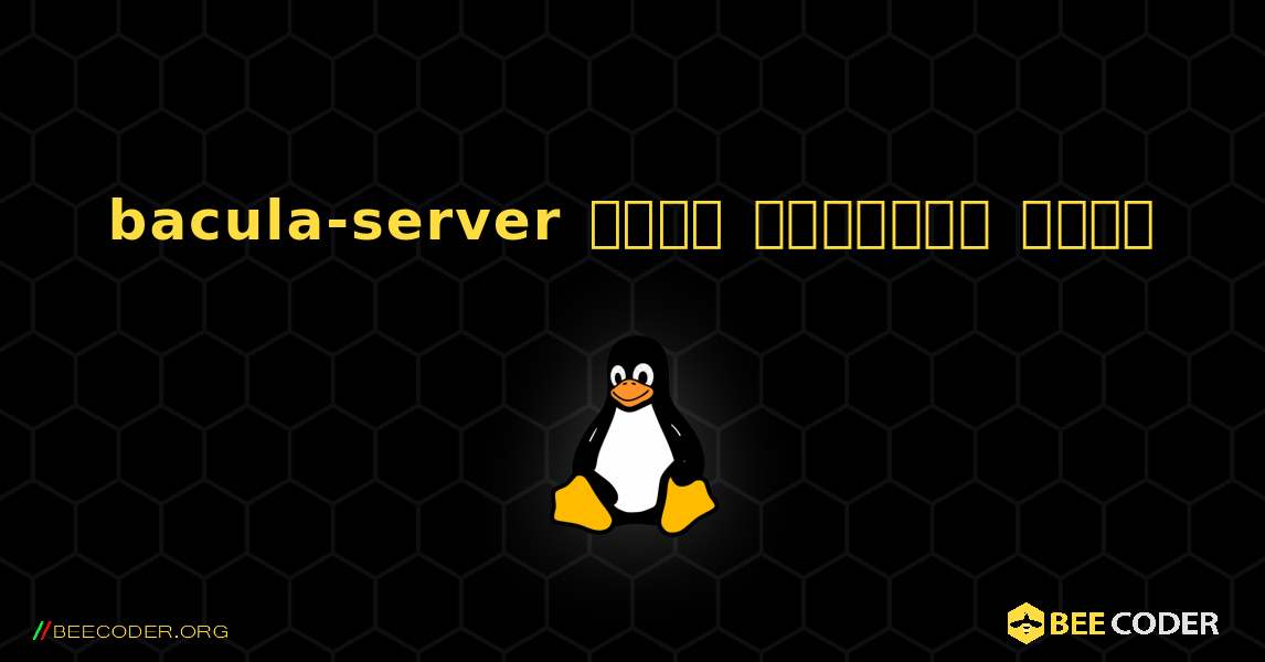 bacula-server  कैसे स्थापित करें. Linux
