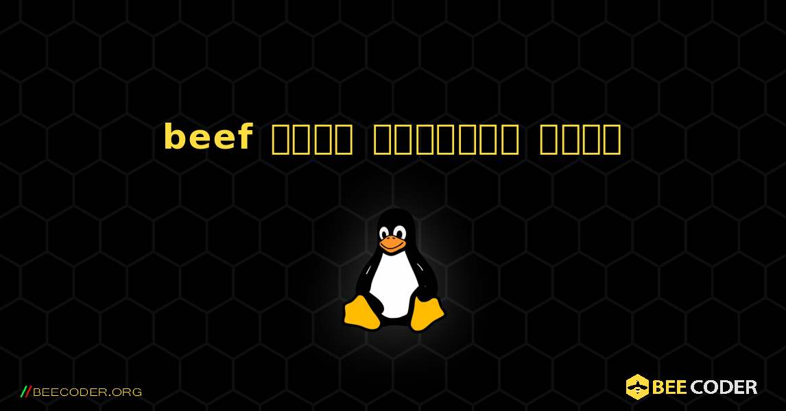 beef  कैसे स्थापित करें. Linux