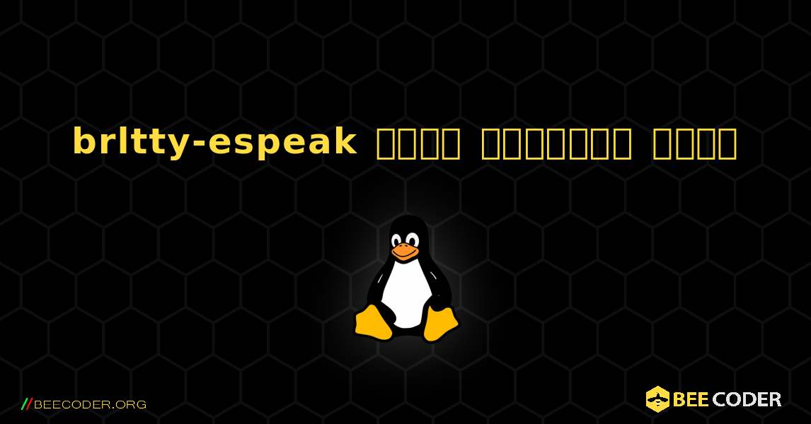 brltty-espeak  कैसे स्थापित करें. Linux