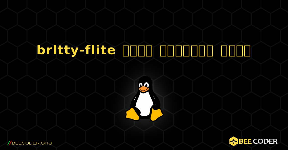 brltty-flite  कैसे स्थापित करें. Linux
