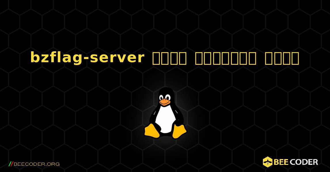 bzflag-server  कैसे स्थापित करें. Linux