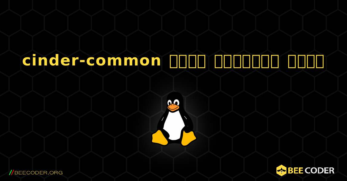 cinder-common  कैसे स्थापित करें. Linux