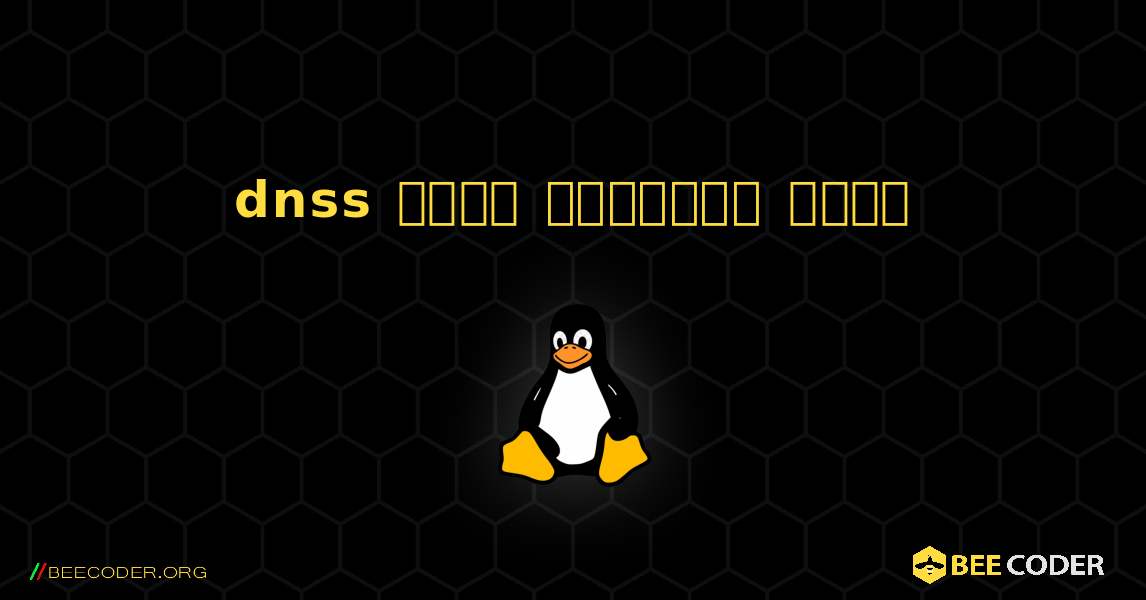 dnss  कैसे स्थापित करें. Linux
