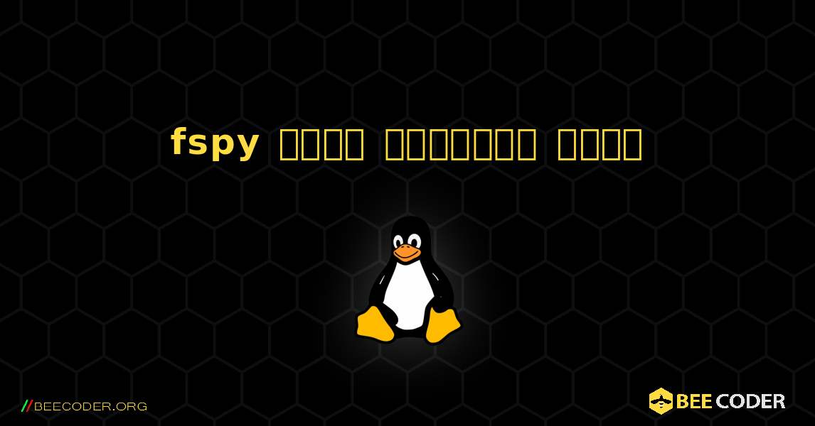 fspy  कैसे स्थापित करें. Linux