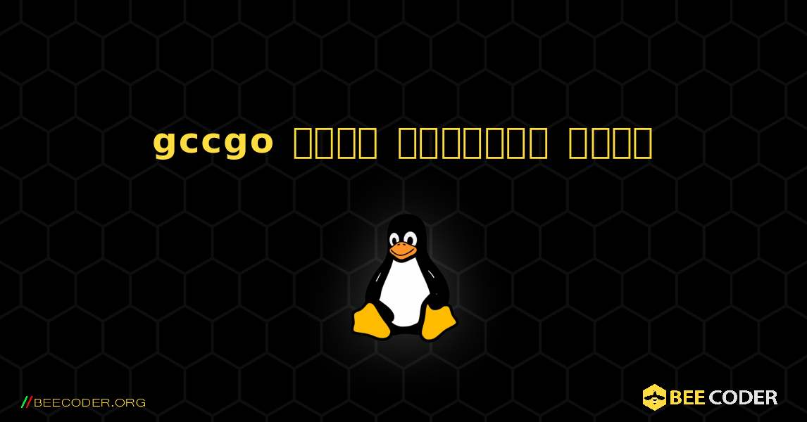 gccgo  कैसे स्थापित करें. Linux