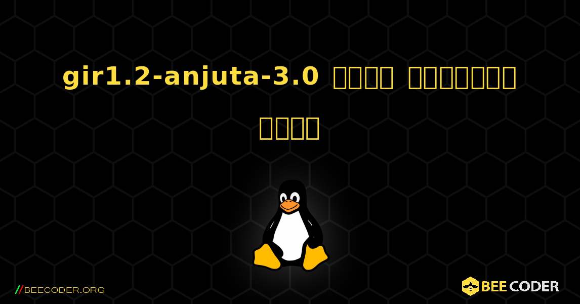 gir1.2-anjuta-3.0  कैसे स्थापित करें. Linux