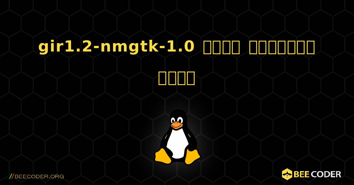 gir1.2-nmgtk-1.0  कैसे स्थापित करें. Linux