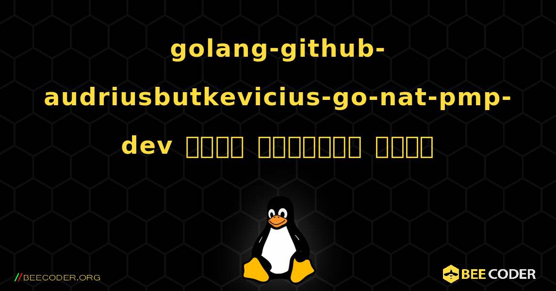 golang-github-audriusbutkevicius-go-nat-pmp-dev  कैसे स्थापित करें. Linux