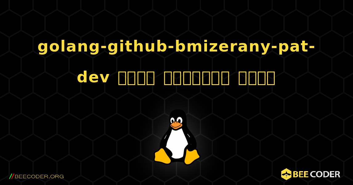 golang-github-bmizerany-pat-dev  कैसे स्थापित करें. Linux