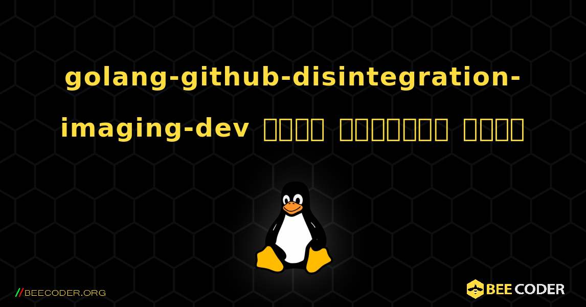 golang-github-disintegration-imaging-dev  कैसे स्थापित करें. Linux