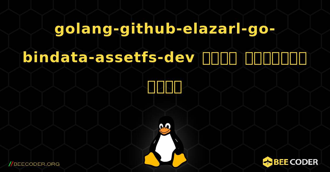 golang-github-elazarl-go-bindata-assetfs-dev  कैसे स्थापित करें. Linux