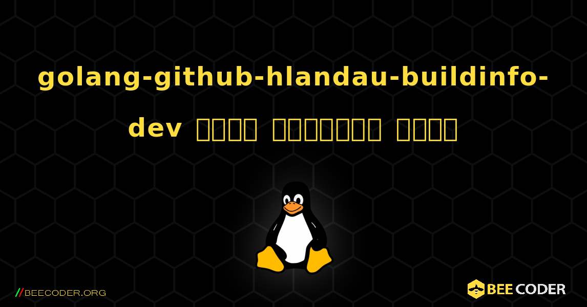 golang-github-hlandau-buildinfo-dev  कैसे स्थापित करें. Linux