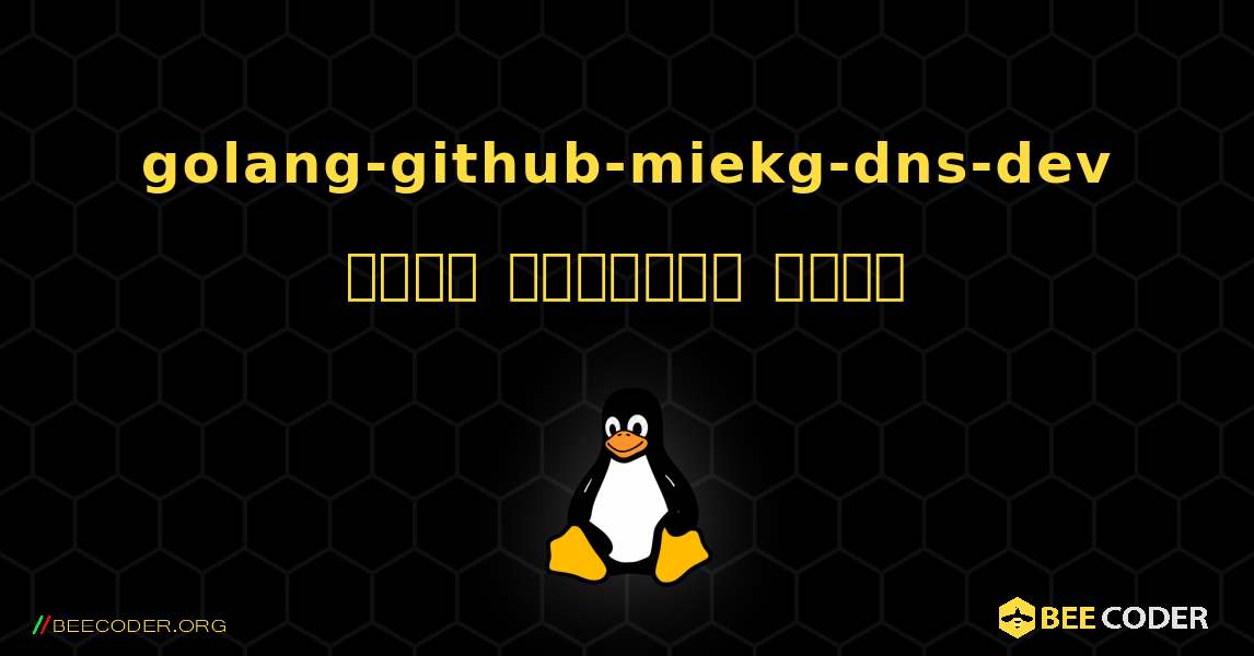 golang-github-miekg-dns-dev  कैसे स्थापित करें. Linux