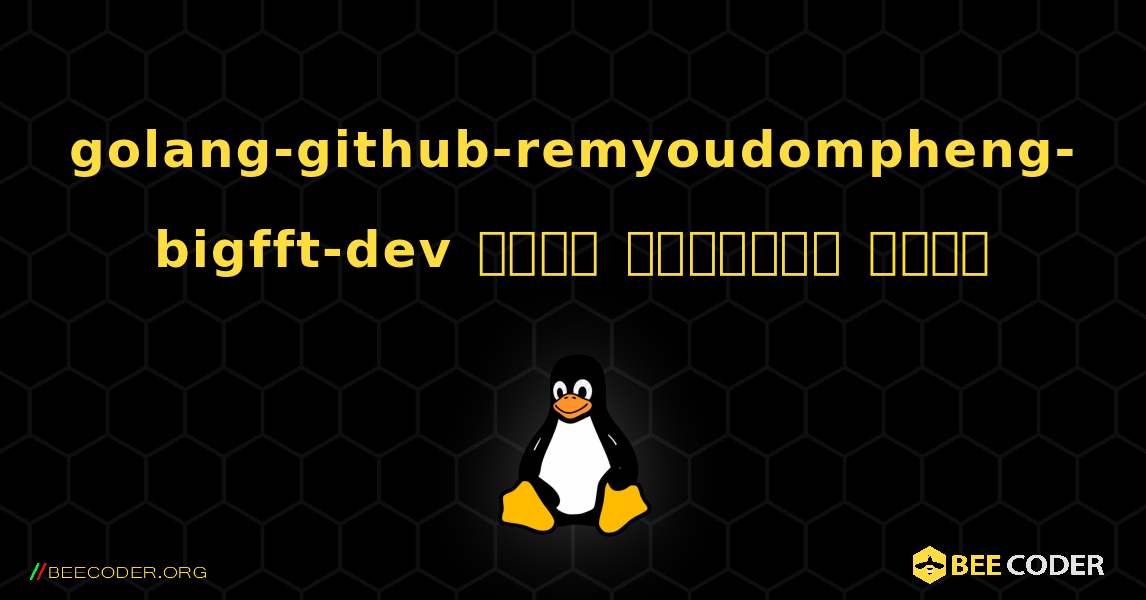 golang-github-remyoudompheng-bigfft-dev  कैसे स्थापित करें. Linux