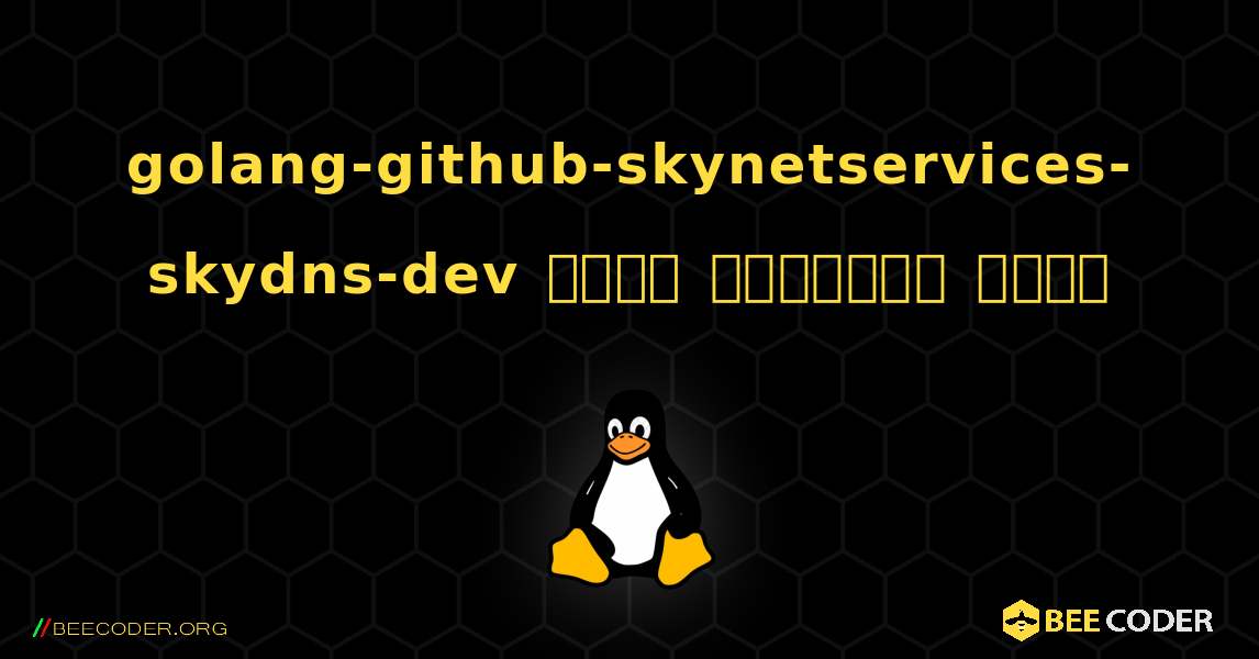 golang-github-skynetservices-skydns-dev  कैसे स्थापित करें. Linux