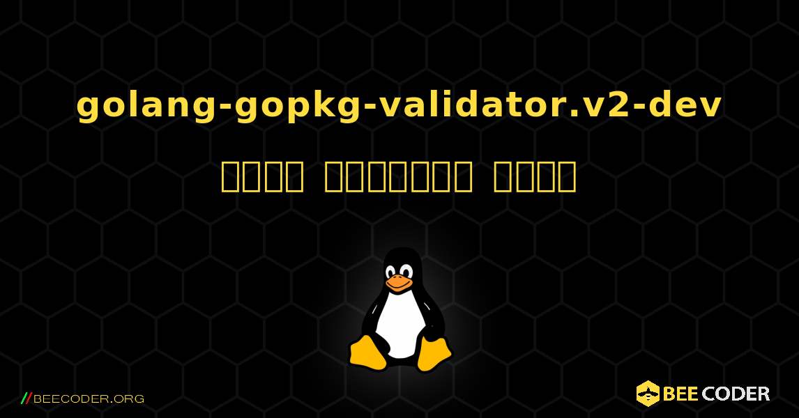 golang-gopkg-validator.v2-dev  कैसे स्थापित करें. Linux
