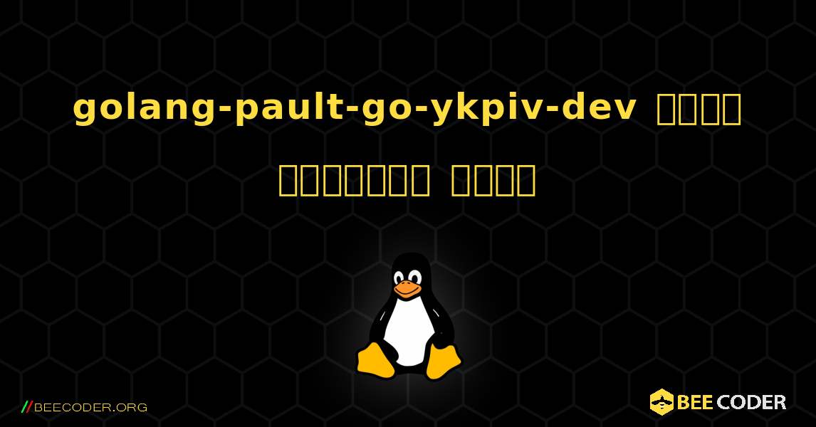 golang-pault-go-ykpiv-dev  कैसे स्थापित करें. Linux