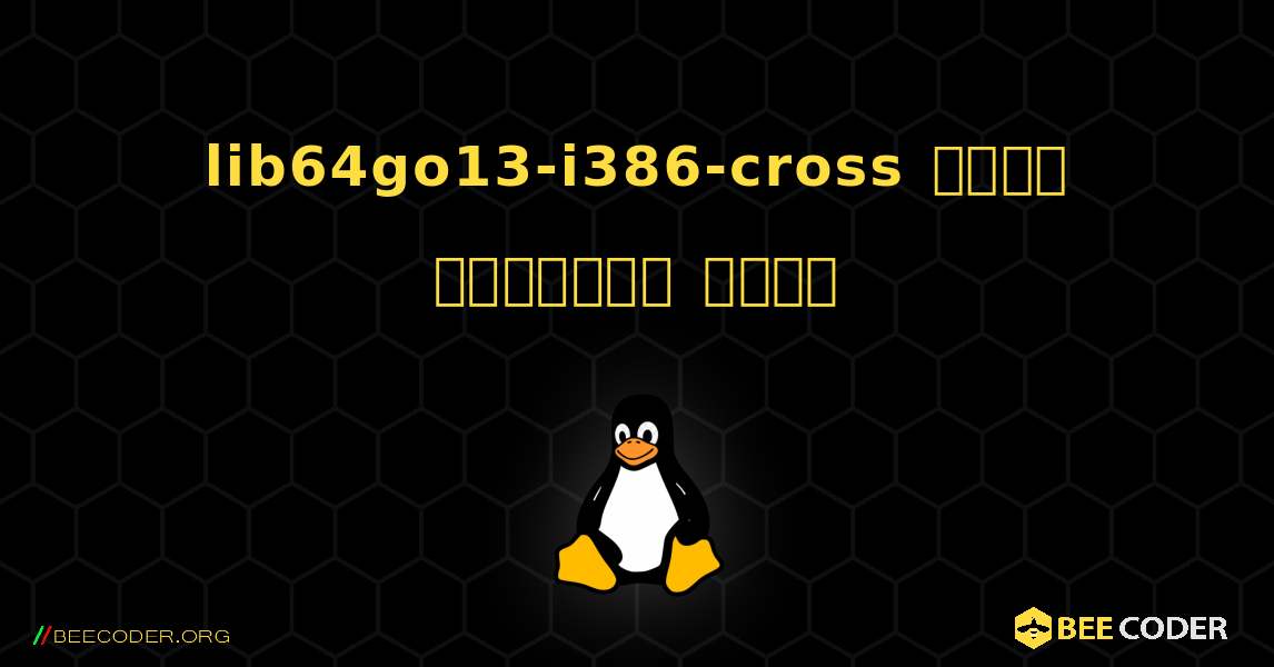 lib64go13-i386-cross  कैसे स्थापित करें. Linux