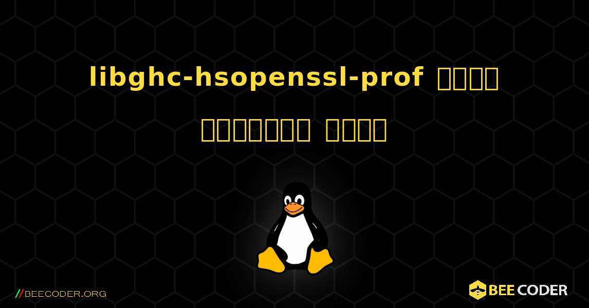 libghc-hsopenssl-prof  कैसे स्थापित करें. Linux