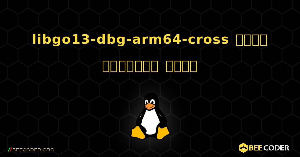 libgo13-dbg-arm64-cross  कैसे स्थापित करें. Linux