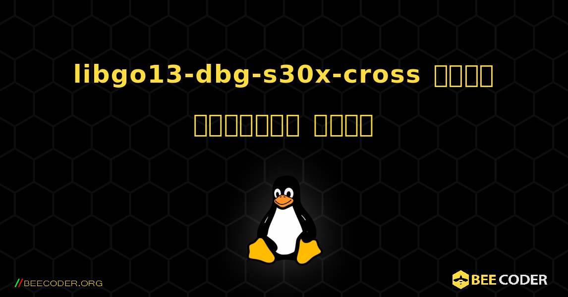 libgo13-dbg-s30x-cross  कैसे स्थापित करें. Linux