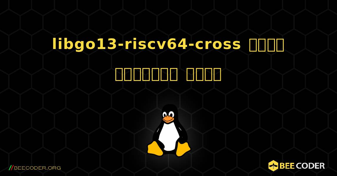 libgo13-riscv64-cross  कैसे स्थापित करें. Linux