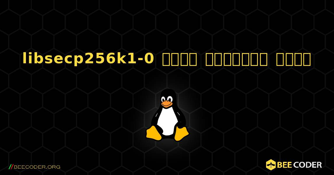 libsecp256k1-0  कैसे स्थापित करें. Linux