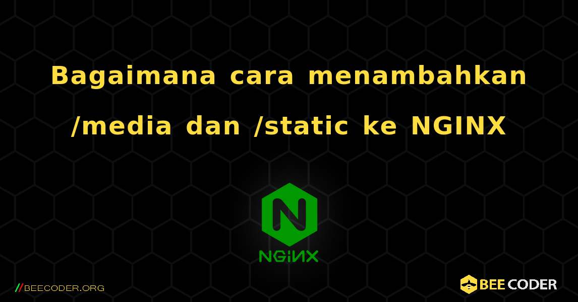 Bagaimana cara menambahkan /media dan /static ke NGINX. NGINX