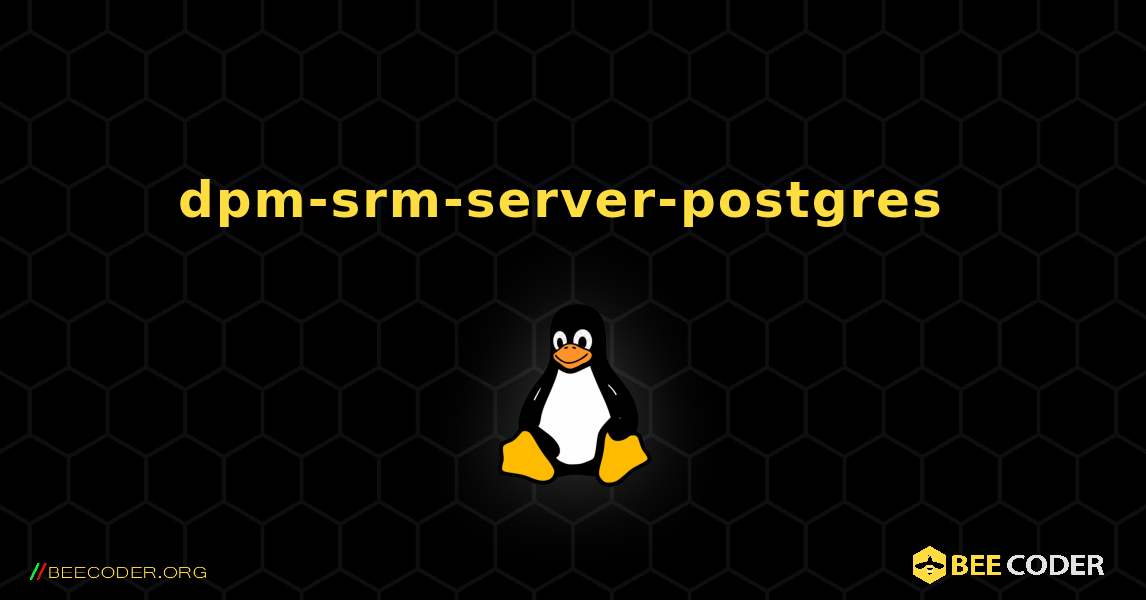 dpm-srm-server-postgres  のインストール方法. Linux