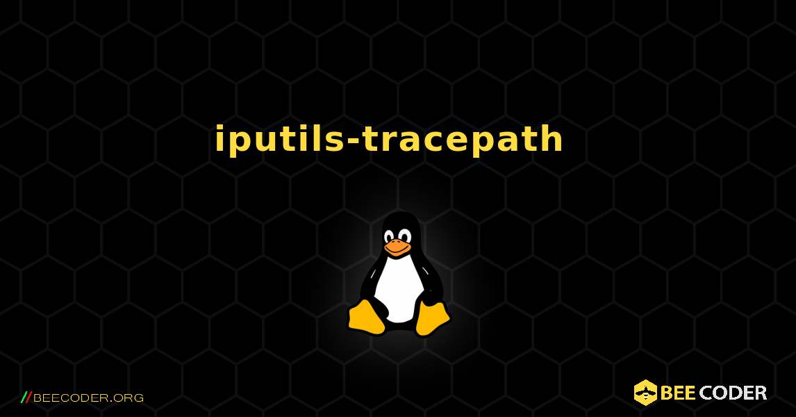 iputils-tracepath  のインストール方法. Linux