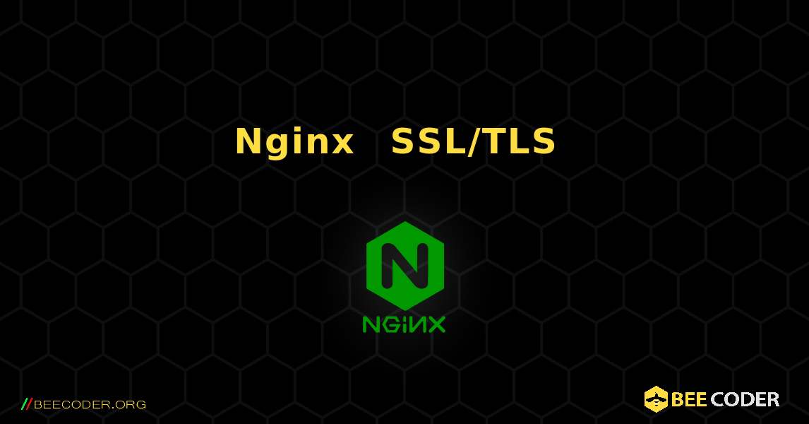Nginx に SSL/TLS 証明書をインストールする方法. NGINX