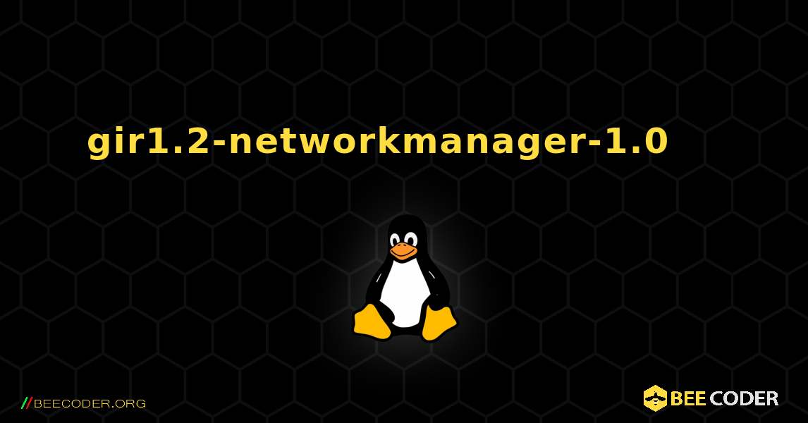 gir1.2-networkmanager-1.0 를 설치하는 방법. Linux