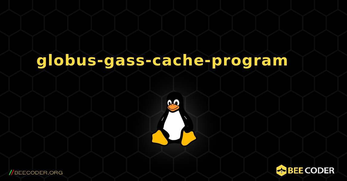 globus-gass-cache-program 를 설치하는 방법. Linux